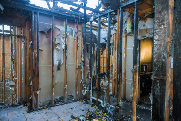 Professional Fire Damage Removal technician working in New Market, VA